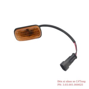 den xi nhan xe lvtong 1