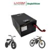pin lithium xe may dien cts48100 1