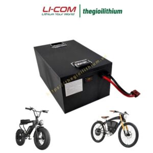 Pin lithium 48V 100Ah cho xe máy điện CTS-48100