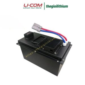Pin lithium xe nâng điện 48V 20Ah CTS-4820