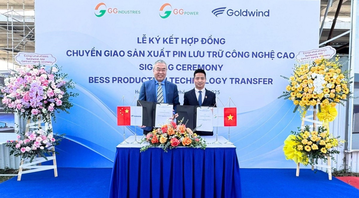 gold wind viet nam 1